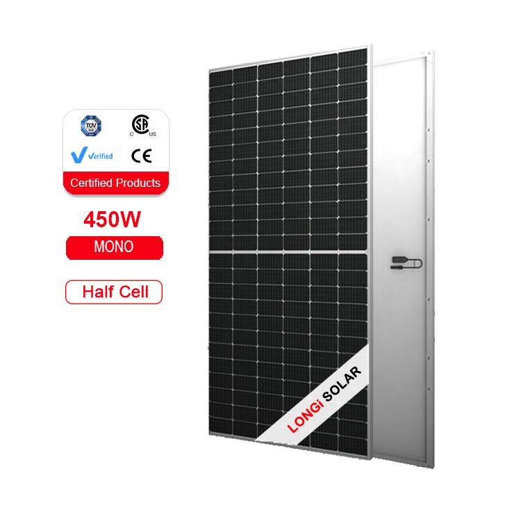 Longi Half Cut Bifacial Solar Energy Panel 450 W 455 W 460 W PV-Modul
